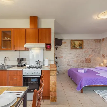 Apartment Basarinka